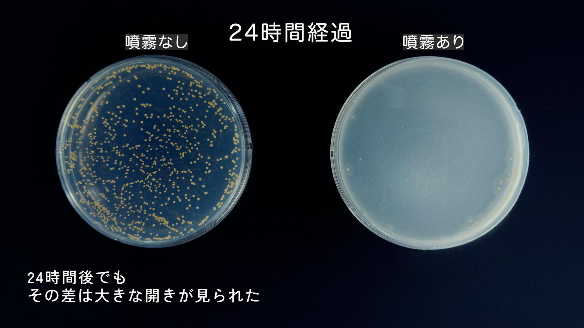 エージーデオ２４ 「最高な自分に整えていけ」篇
