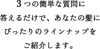 ３つの簡単な質問に答えるだけで、あなたの髪にぴったりのラインナップをご紹介します。