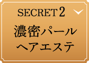 SECRET 2. 濃密パールヘアエステ