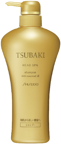 2010年 TSUBAKI