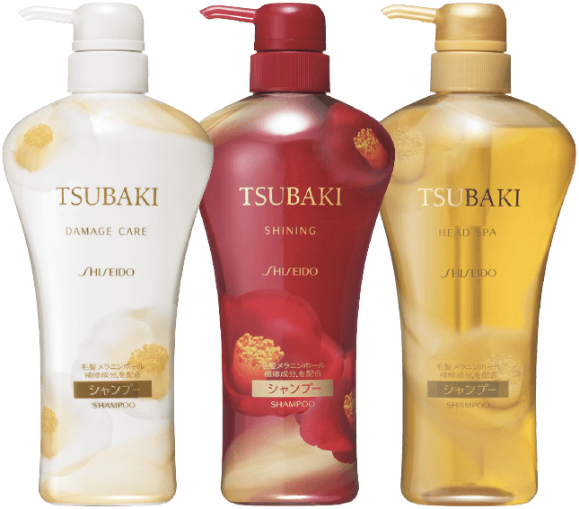 2013年 TSUBAKI