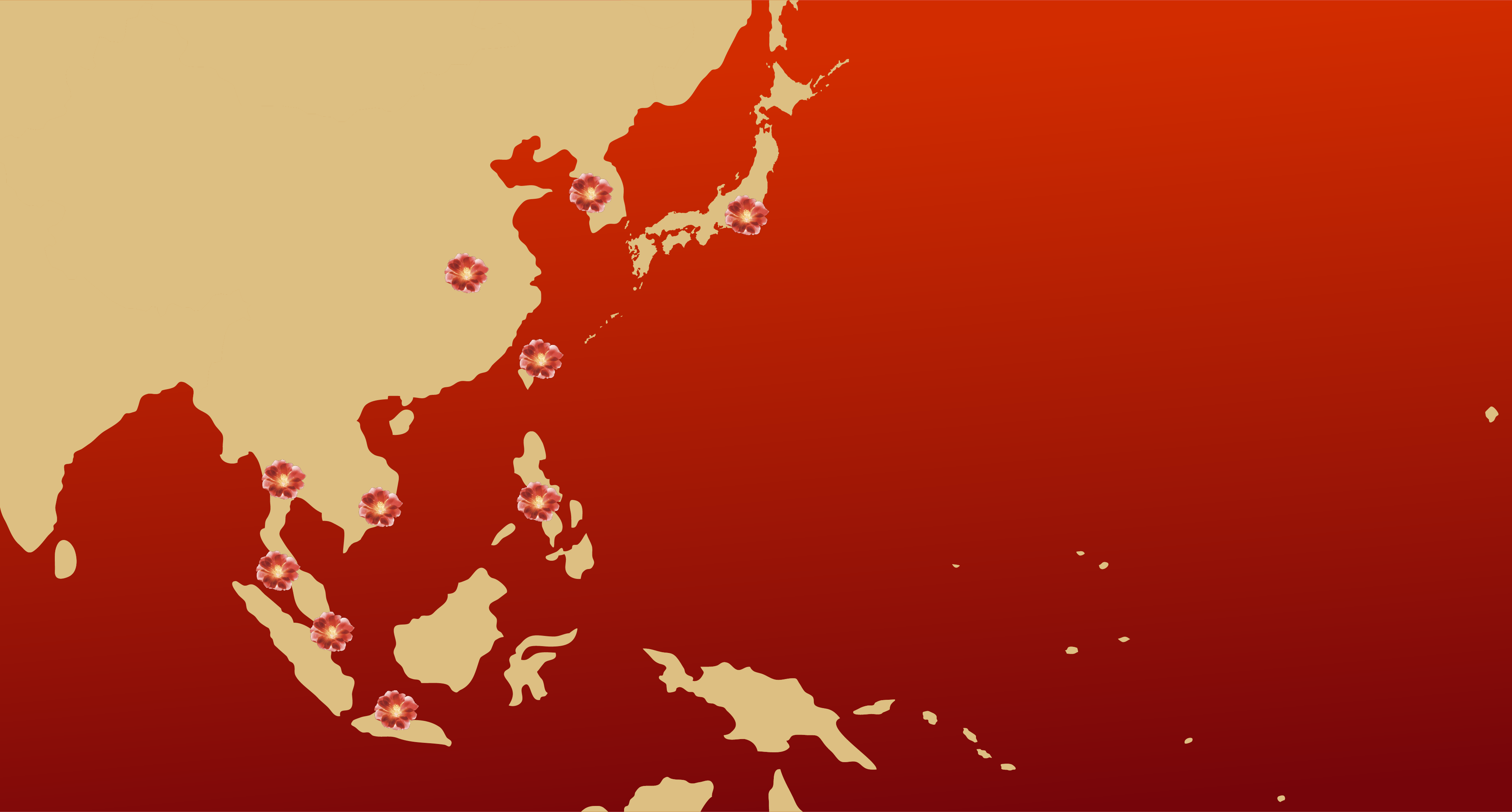 TSUBAKI Global Journey map