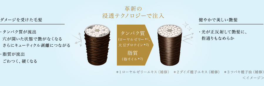 革新の浸透テクノロジーで注入