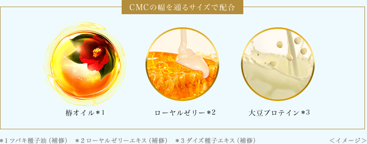 CMCの幅を通るサイズで配合