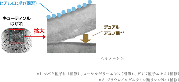 イメージ:ヒアルロン酸(保湿)