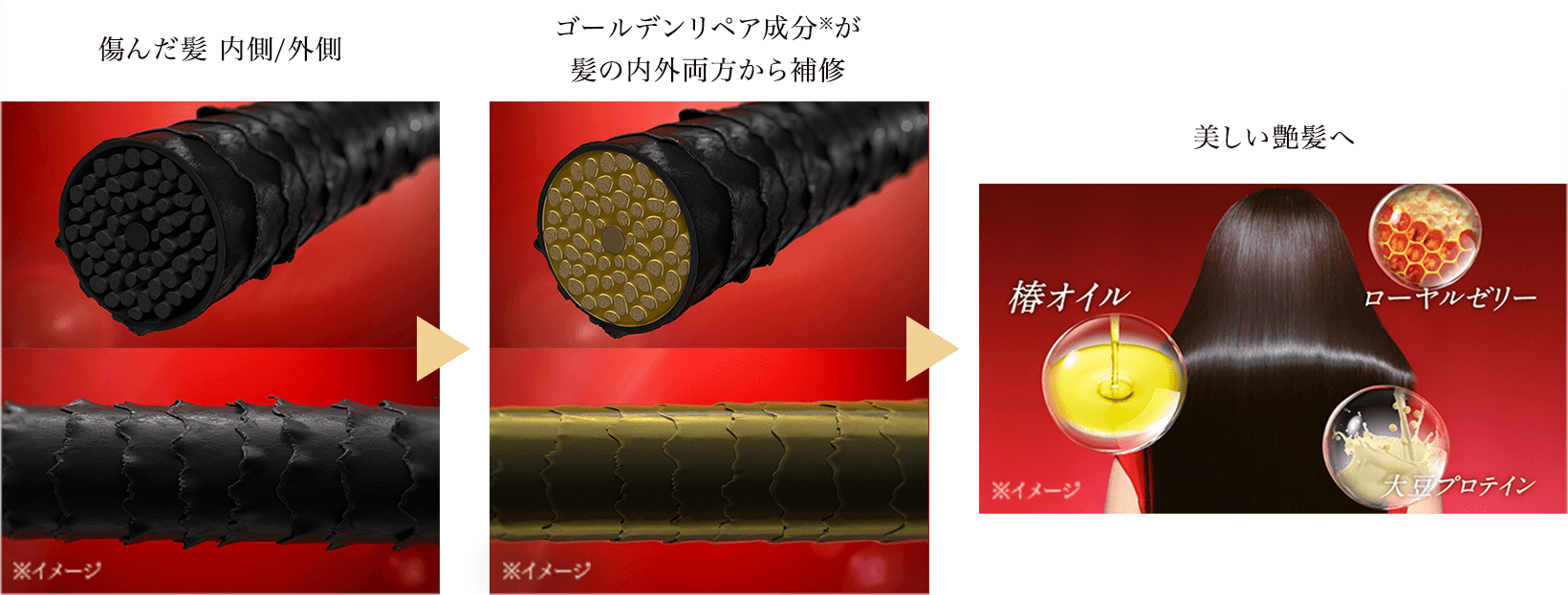 傷んだ髪 内側/外側 ゴールデンリペア成分*が髪の内外両方から補修 美しい艶髪へ