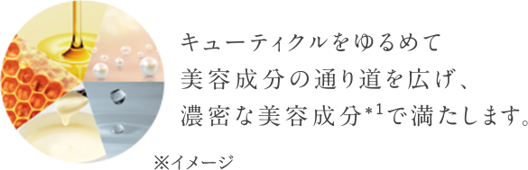 キューティクルをゆるめて美容成分の通り道を広げ、濃密な美容成分で満たします。