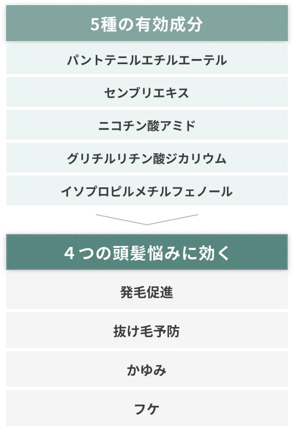 5種の有効成分・4つの頭髪悩みに効く