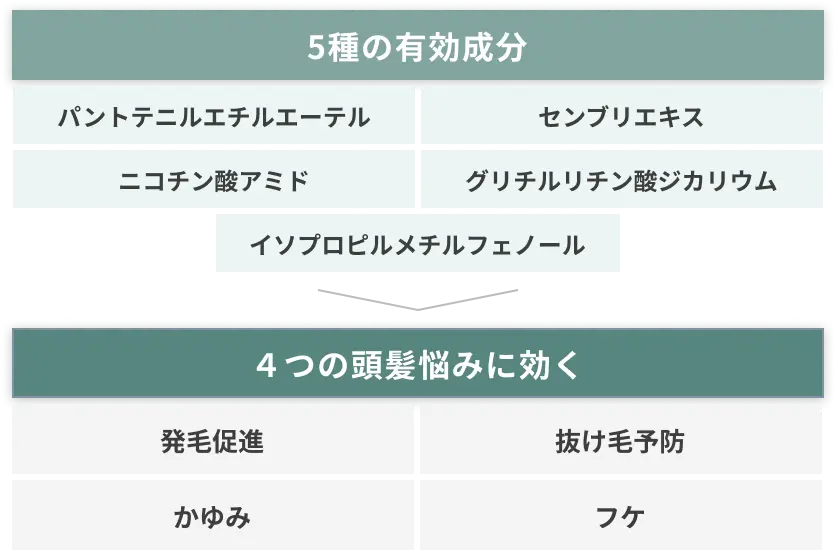 5種の有効成分・4つの頭髪悩みに効く